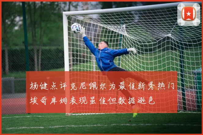 杨健点评克尼佩尔为最佳新秀热门埃奇库姆表现虽佳但数据逊色
