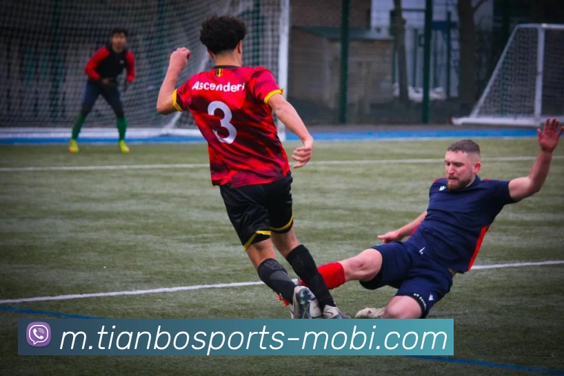 天博体育APP 高清赛事图